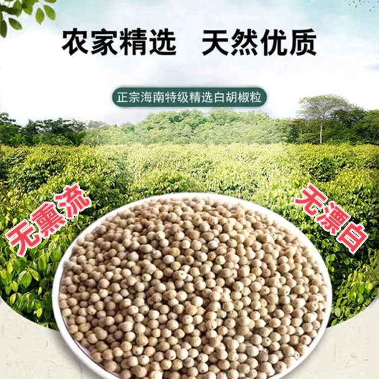 送研磨器【海南直发】正宗海南白胡椒粒 不熏硫不漂白纯天然晾晒