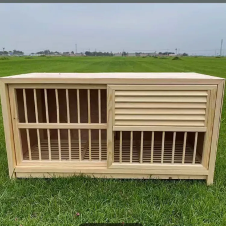 松木鸽子配对巢箱