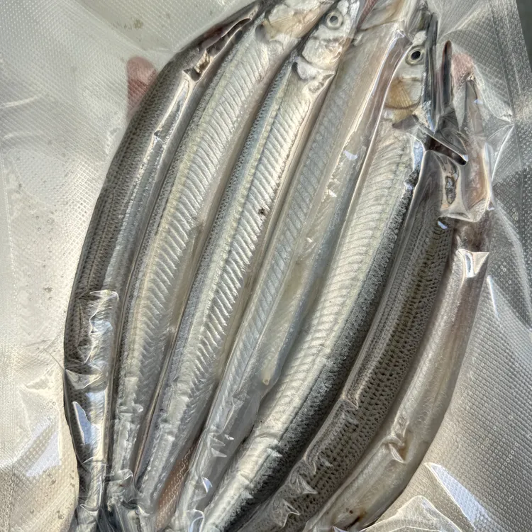 【隋隋家】冰鲜小网马步鱼
