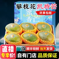【顺丰送上门】礼盒装 四川攀枝花凯特芒6斤当季新鲜水果整箱包邮四川省