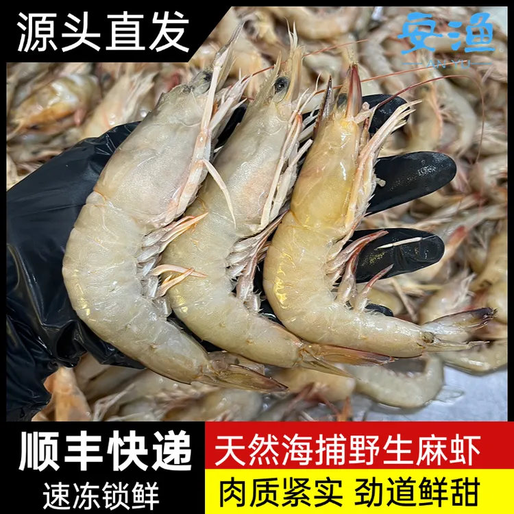 【麻虾】北海野生海捕麻虾沙卢虾冷冻锁鲜大虾顺丰发货