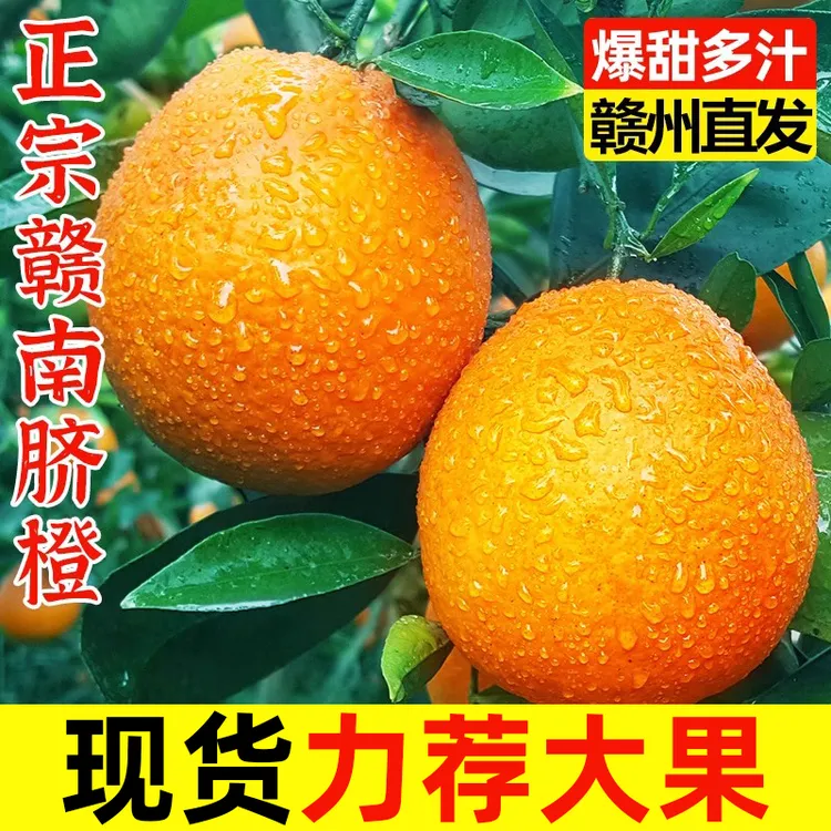 正宗江西赣南脐橙产地直发孕妇应季水果新鲜橙子赣州现摘整箱发货