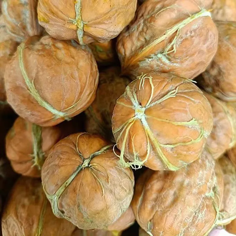 2025年鲜核桃去青皮嫩核桃孕妇新鲜湿核桃生核桃仁薄皮核桃