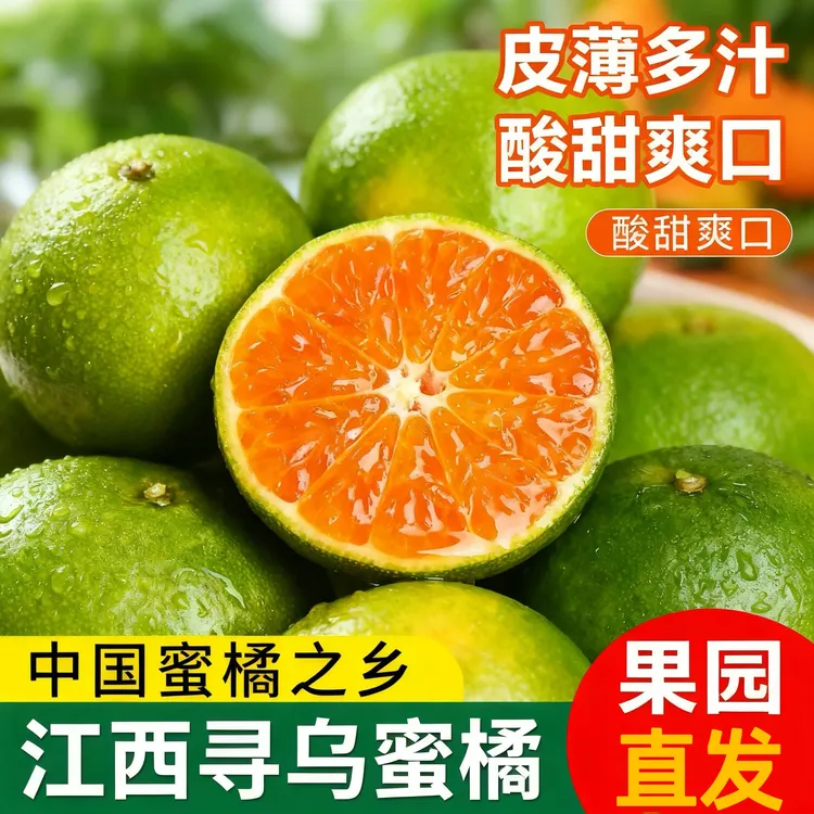 江西赣南寻乌青皮蜜橘新鲜现摘无籽薄皮酸甜可口应季水果
