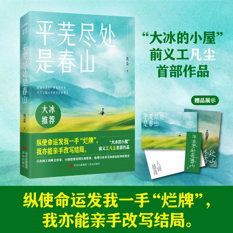 平芜尽处是春山 凡尘 大冰诚挚推荐从洗碗工到网文作家自传体小说