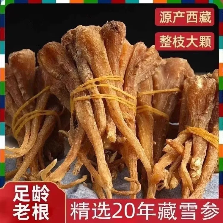 臧雪参藏雪参大条粗壮高海拔雪人参玉人参西藏特产雪参泡水煲汤