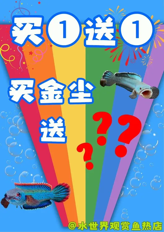 鱼金尘雷龙血斑淡水活体观赏鱼耐活好养免打氧小型冷水金尘雷龙鱼