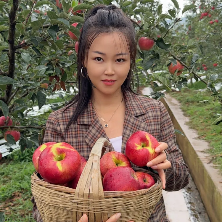 （艳儿推荐）又脆又甜的昭通红露苹果