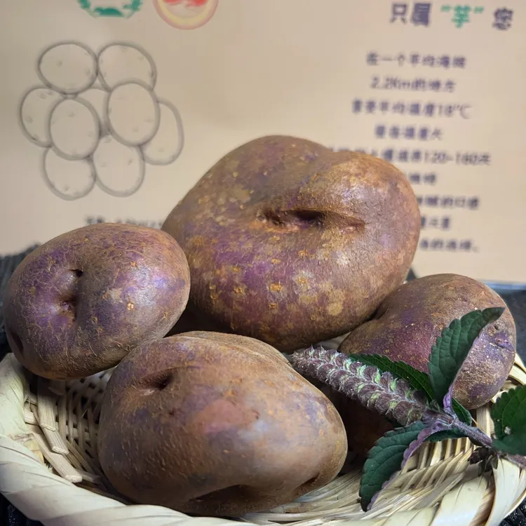 贵州威宁新鲜紫皮紫心转心乌洋芋