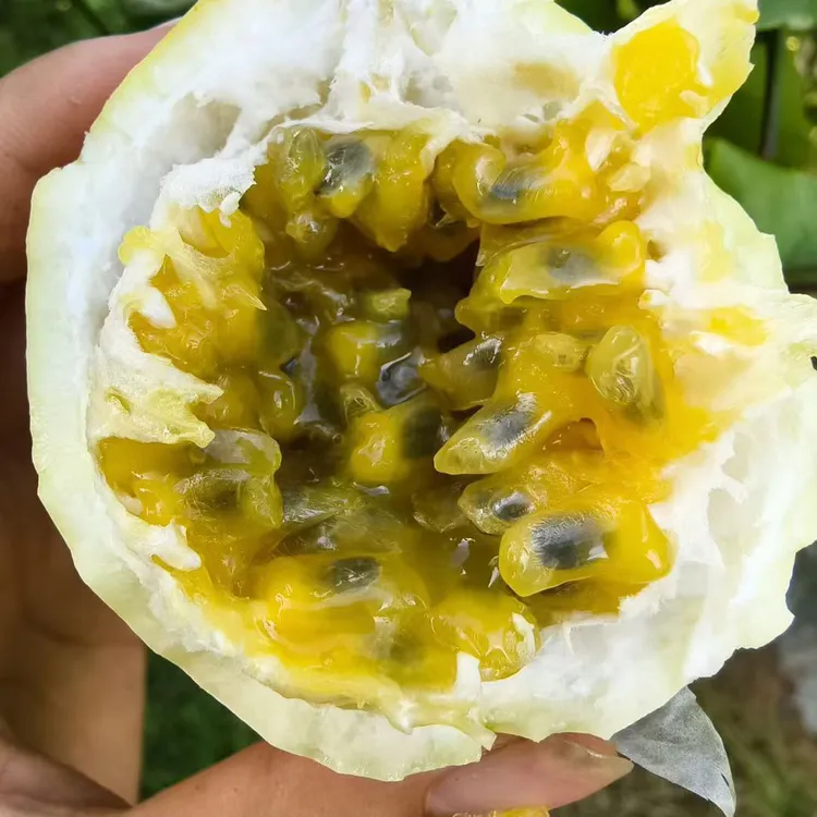 无酸钦蜜9号百香果新鲜当季水果富含维生素C