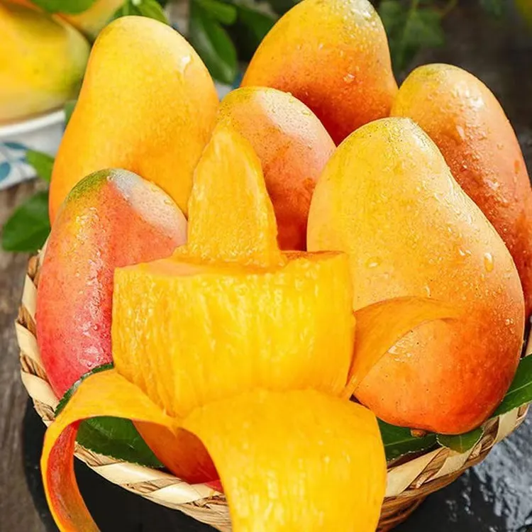 DC贵妃芒果5/10斤