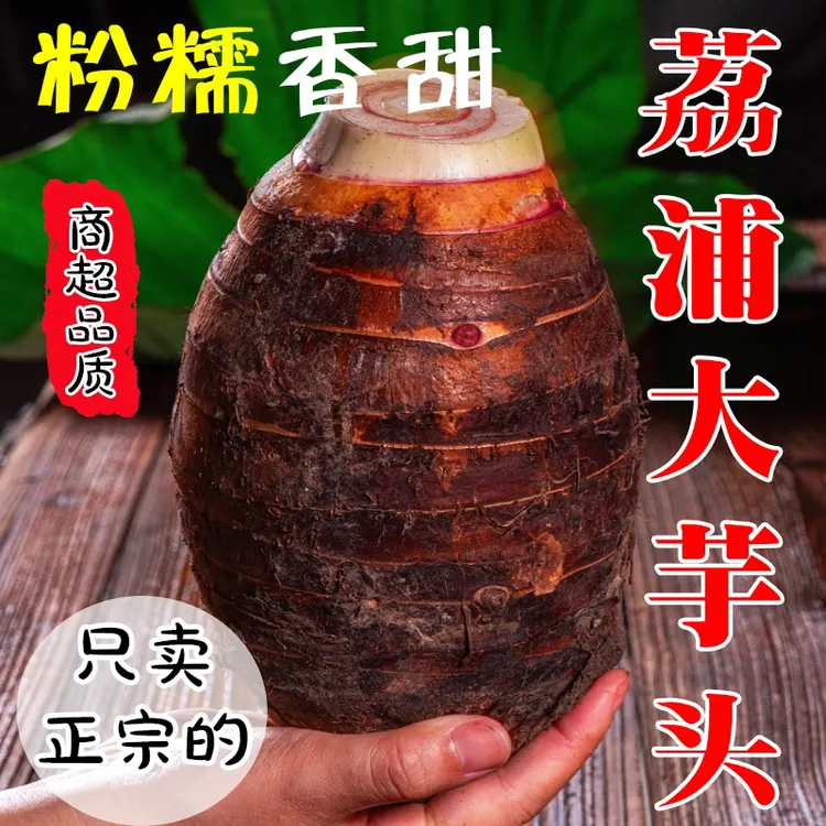 荔浦芋头正宗新鲜现挖粉糯香芋广西桂林正宗特产芋槟榔芋毛芋头