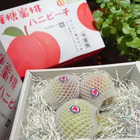 【礼盒】乐 云南  翡翠蜜露桃  1箱3斤左右   新鲜甜蜜好吃脆甜可口