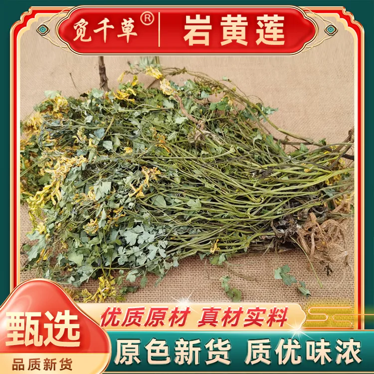 贵州岩黄连 胡岩连土黄连岩黄莲崖黄莲新货整株晒干搭配枸杞泡水
