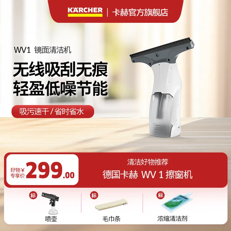 KARCHER/卡赫新款电动擦窗机家用无线镜面清洁神器 新品WV1
