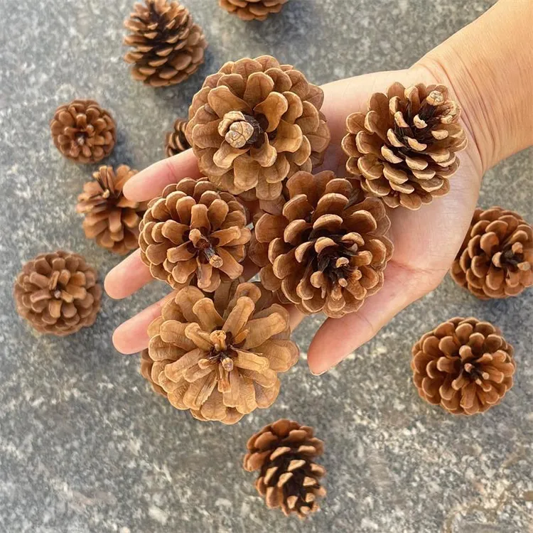 创意手工松果装饰品干花圣诞树装饰材料摄影搭配创意摆件