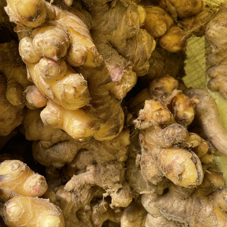 【四元方奇专属】农家自种新鲜生姜五斤装