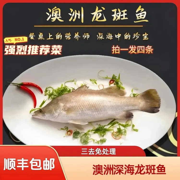 澳洲龙斑鱼 /三去开背净重450~500g/条 3条＋1条 顺丰冷链包邮