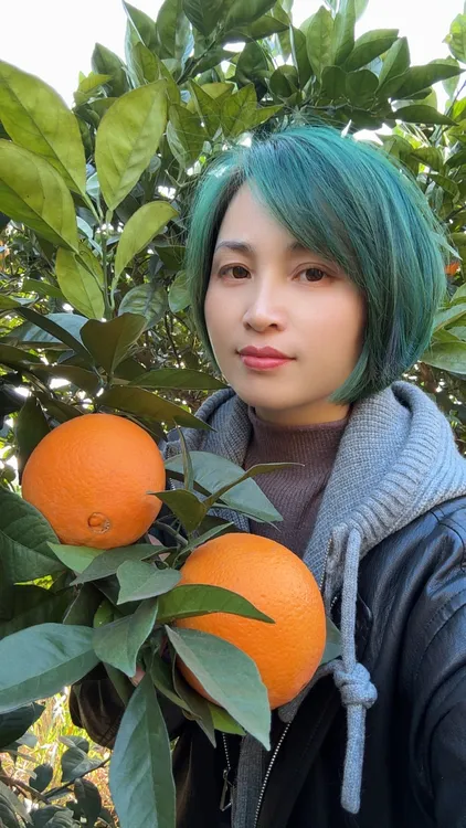 正宗赣南脐橙 果园直发现摘现发.香甜可口细腻爆汁