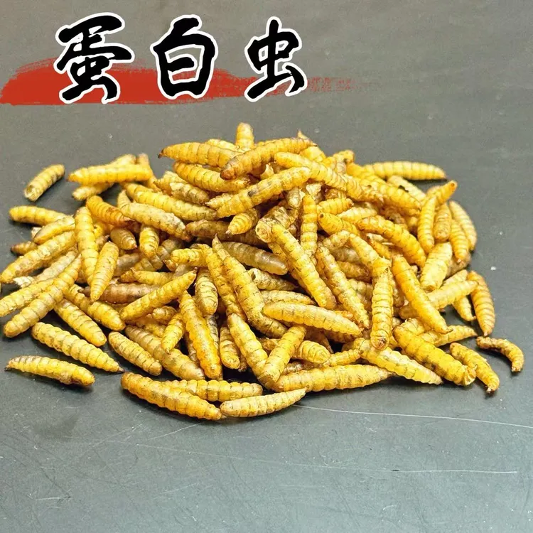 野钓鲫鱼鲤鱼草鱼等多种鱼类通用型浓香综合饵料