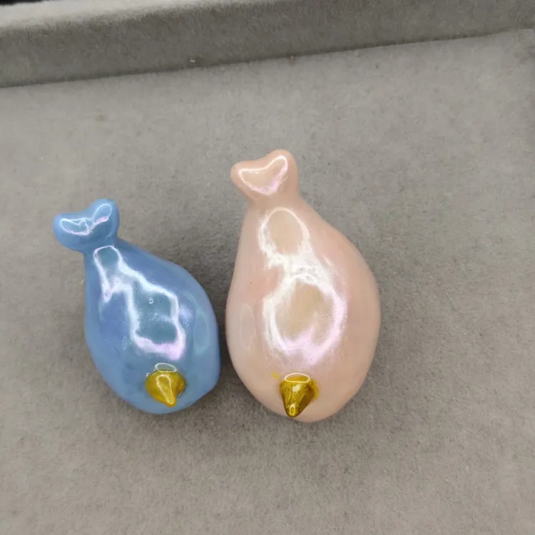 天然海螺diy寄居蟹替换壳 极光独角小海豚 扁口