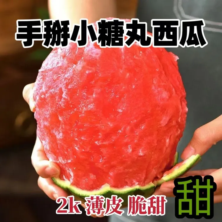 【顺丰包邮】当季限定红颜冰淇淋巴掌小糖丸西瓜一藤一瓜爆甜脆