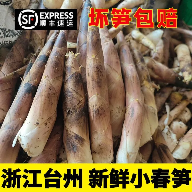 浙江新鲜雷竹笋现挖直发鲜嫩春笋时令蔬菜美味火锅食材雷笋竹笋尖