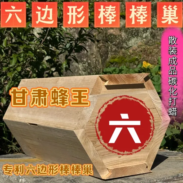 新手养蜂诱蜂六边形懒人土养棒棒巢