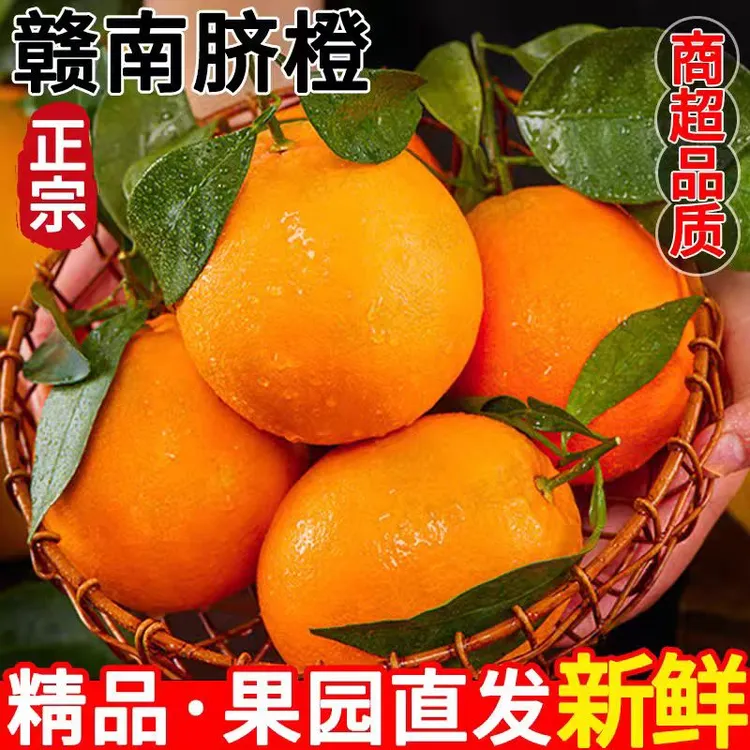 正宗江西赣南脐橙安远脐橙农家甜橙现摘新鲜水果产地直发5斤装