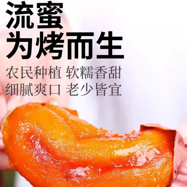 正宗烟薯25   流糖蜜薯