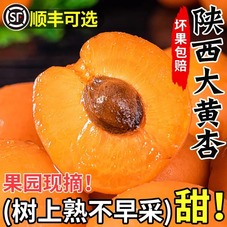 杏子现摘陕西大黄杏现货水果新鲜整箱时令酸甜杏斤凯特孕妇顺丰