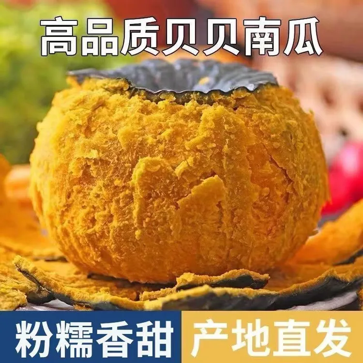 【坏果包赔】精品沙地贝贝粉糯香甜板栗味内贝贝小南瓜辅食粗粮代餐