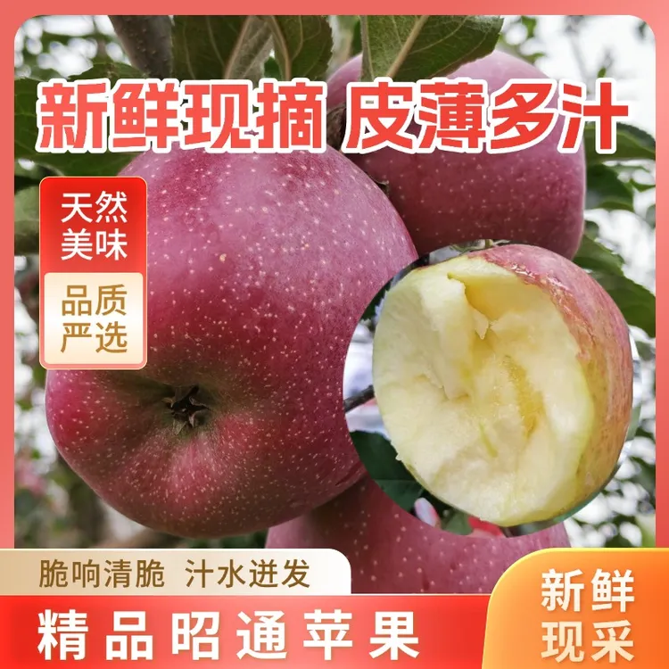正宗云南昭通红富士糖心苹果脆甜苹果新鲜现摘现发水果精品苹果