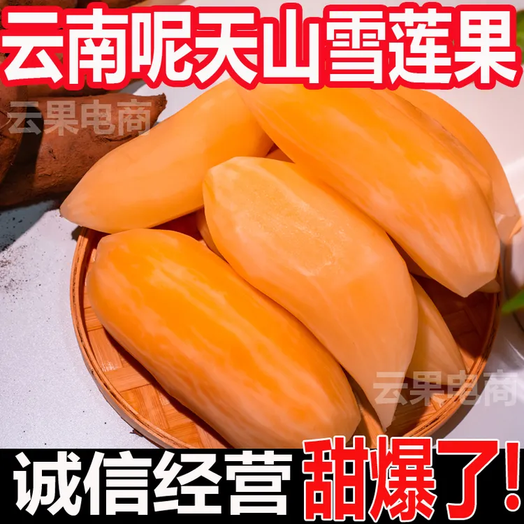 【低糖】云南天山雪莲果新鲜现挖清甜脆爽多汁应季水果黄心现挖包邮