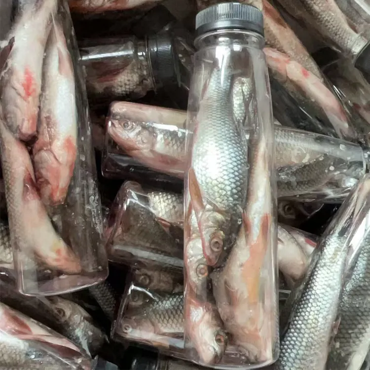 臭鱼饵鲶鱼饵料发酵臭鱼守大口鲶胡子鲶塘鲺腥臭鱼饵江河湖库统用