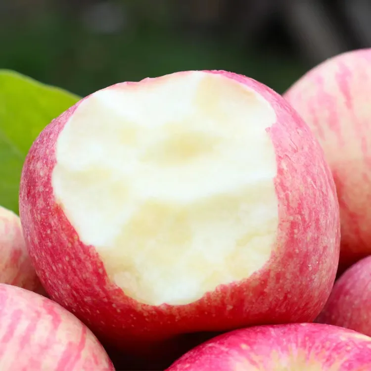 【陕西老徐】2025新鲜陕西白水苹果红富士酸甜适口产地直发包邮新鲜