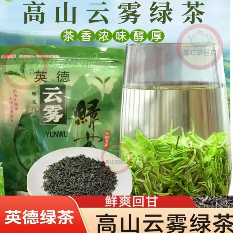 云雾茶英德绿茶高山云雾绿茶炒青绿茶中秋推荐好物高山绿茶