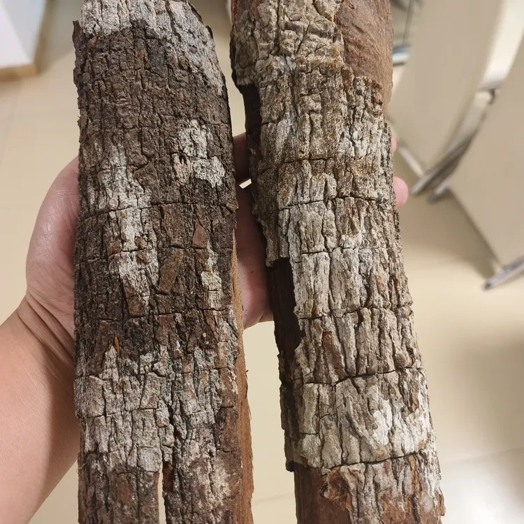 来自非洲（精致）树皮 快乐0号 40   克