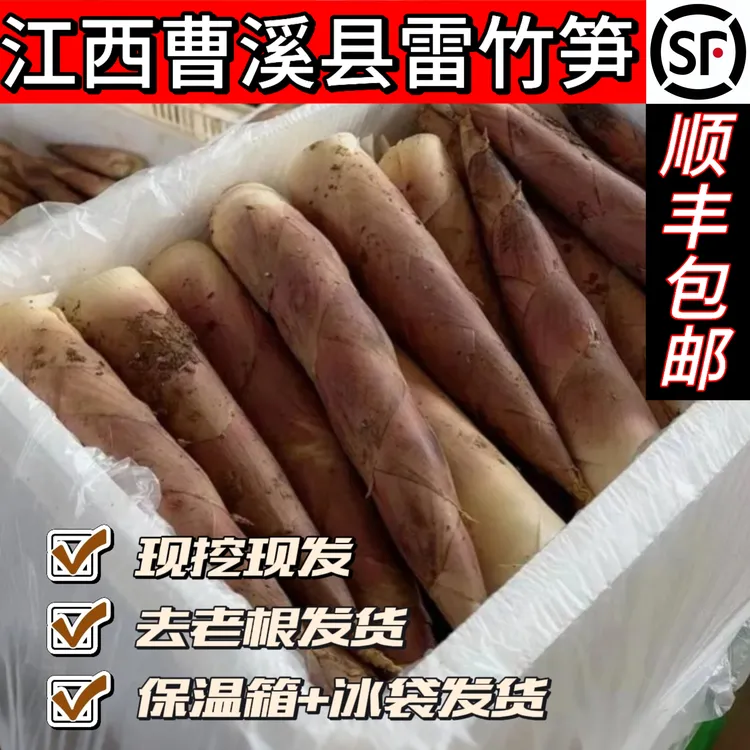 【顺丰包邮】新鲜甜现挖弋阳曹溪红泥雷公笋鲜秋新鲜竹笋