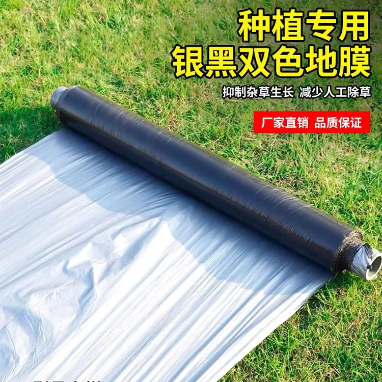 农用种植草莓专用银黑地膜反光双色薄膜保温保湿增温加厚除草设备