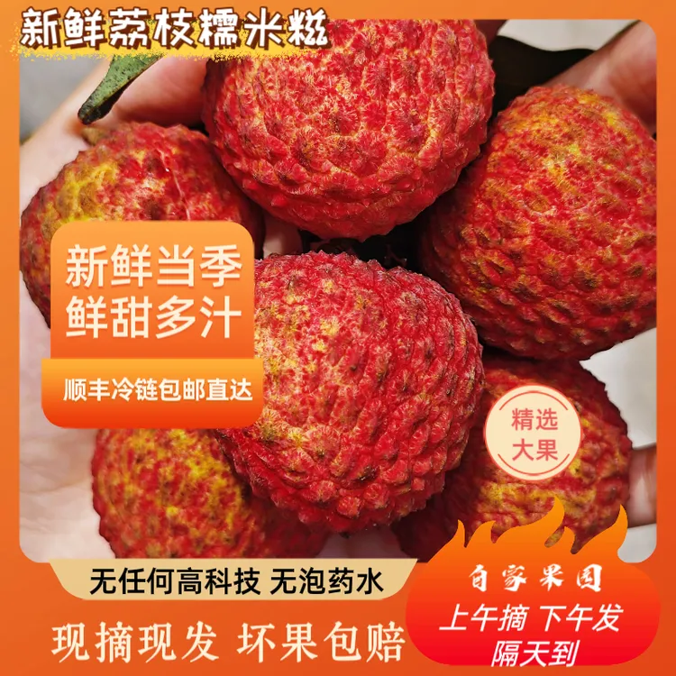 当季新鲜现摘从化荔枝糯米糍香甜可口皮薄肉厚顺丰冷链包邮