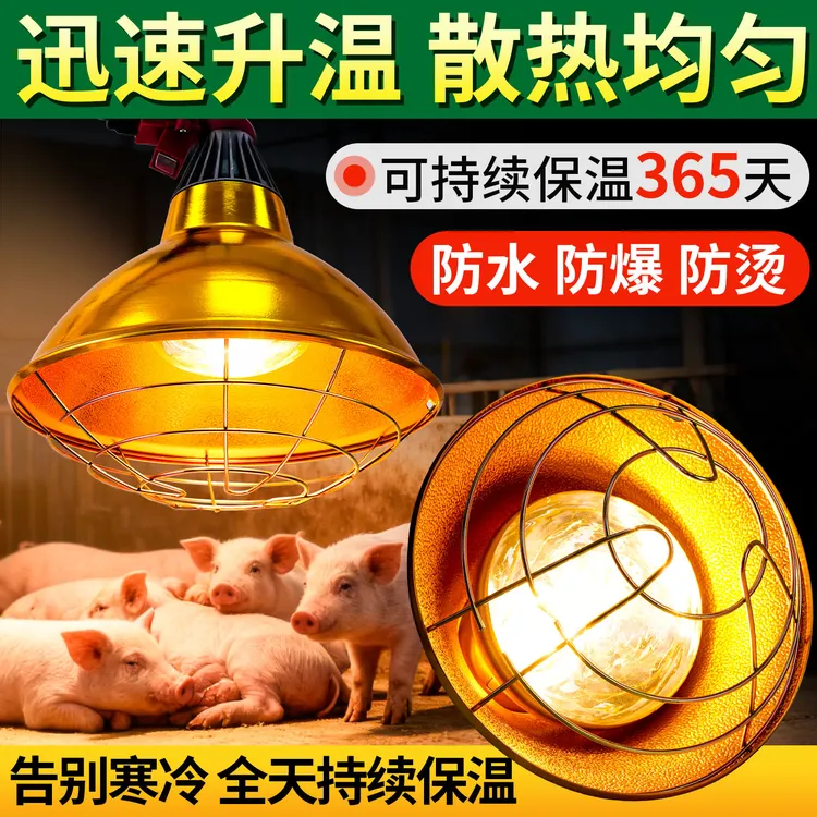 保温灯养殖场专用卤素猪用取暖灯罩仔猪小鸡育雏暖灯兽用加热灯泡