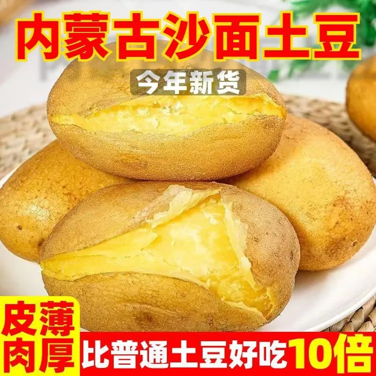 【真沙面】内蒙古武川土豆黄皮黄心沙糯粉面土豆新鲜现挖马铃薯洋芋