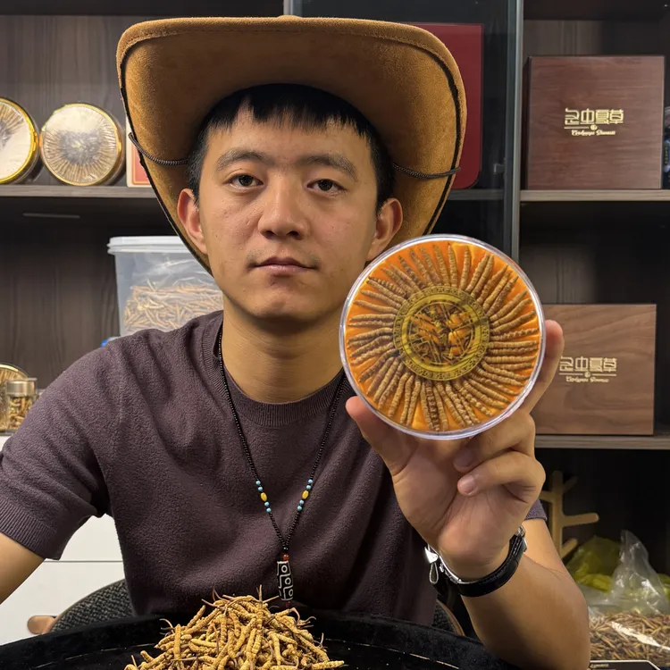 福利口粮草  2025头期干冬虫夏草