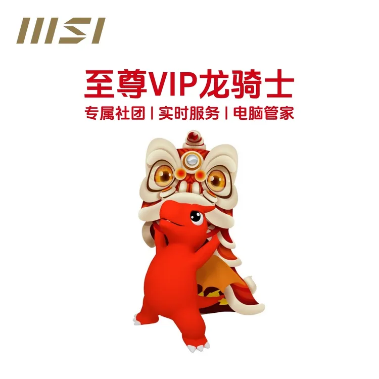 至尊VIP龙骑士服务