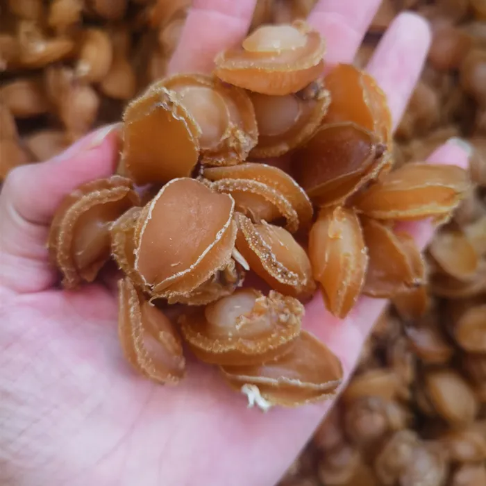 【珠海升仔】鲍鱼干 渔民自晒鲍鱼 250克/500克