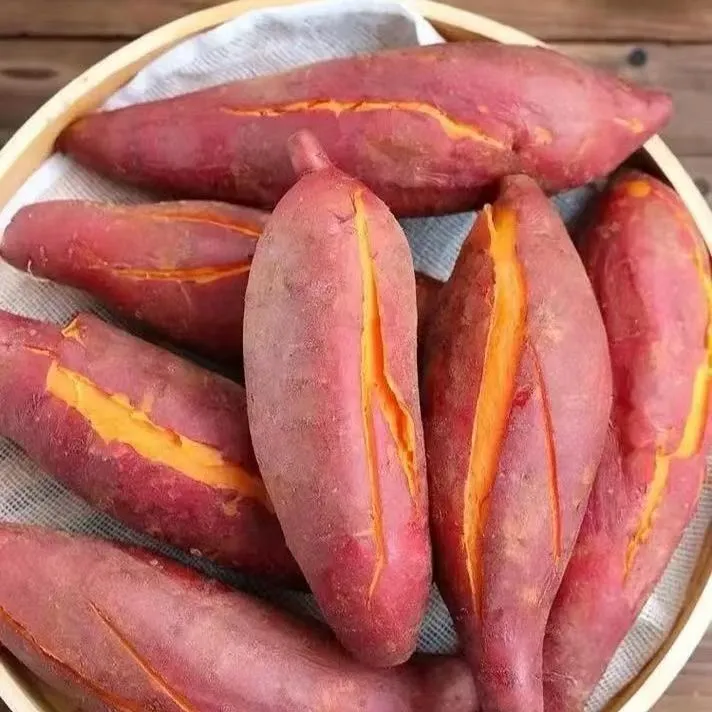 新鲜现挖红心蜜薯软糯香甜红薯沙地番薯