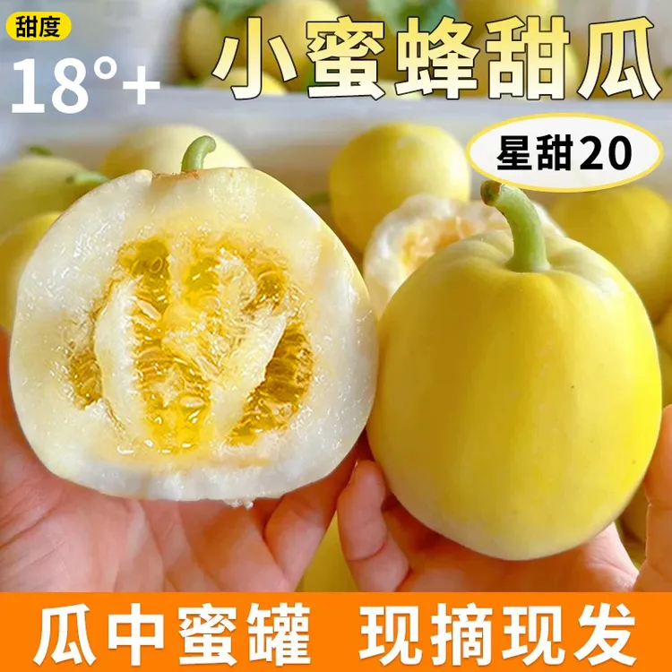 正宗山东小蜜蜂甜瓜皮薄星甜20蜜罐甜瓜孕妇当季新鲜头茬蜜罐甜瓜