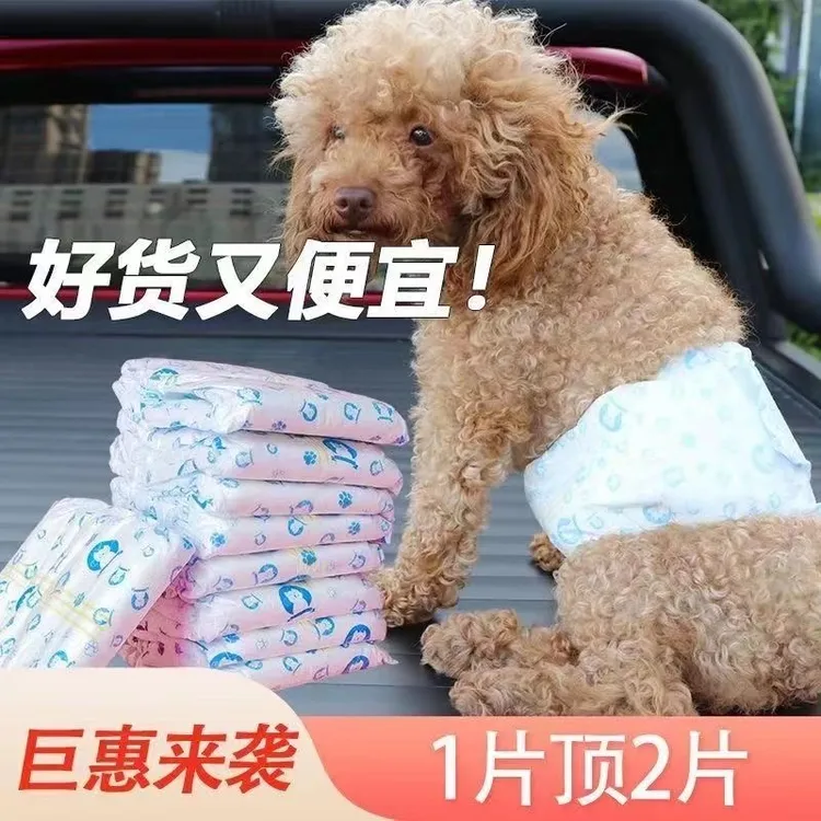 狗狗尿不湿超薄透气宠物一次性公狗纸尿裤生理裤