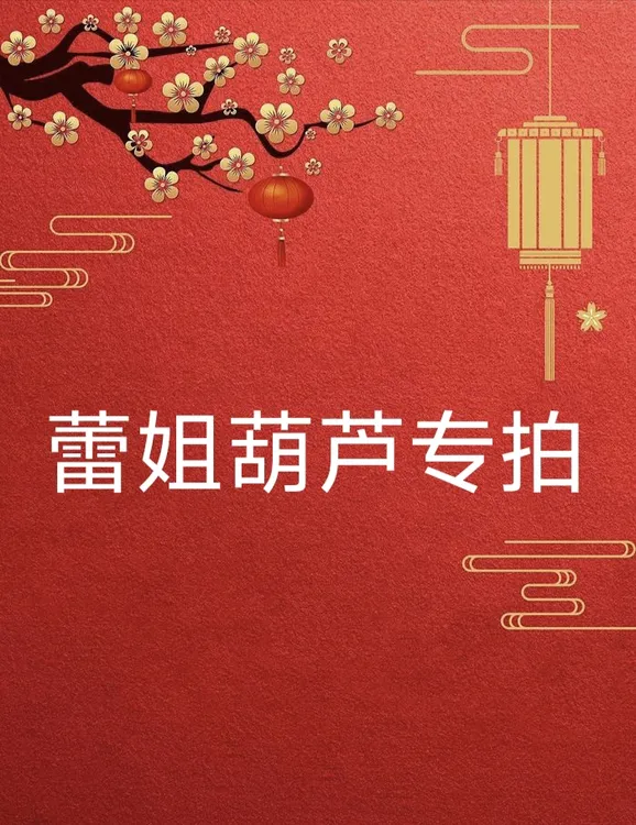 天然葫芦车挂包挂一物一拍